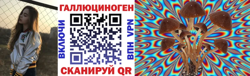 где купить наркоту  Зубцов  Псилоцибиновые грибы MAGIC MUSHROOMS 